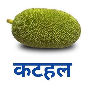 Kathal ( 1 kg )