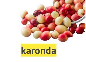 Karonda (250 Gm)